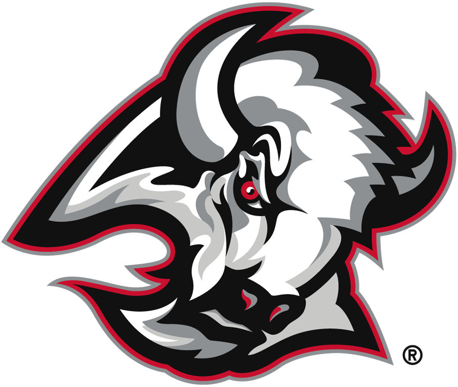 Buffalo Sabres 1999-2006 Primary Logo iron on heat transfer
